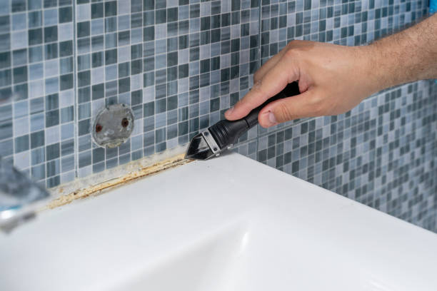  Sandia Heights, NM Mold Removal Pros